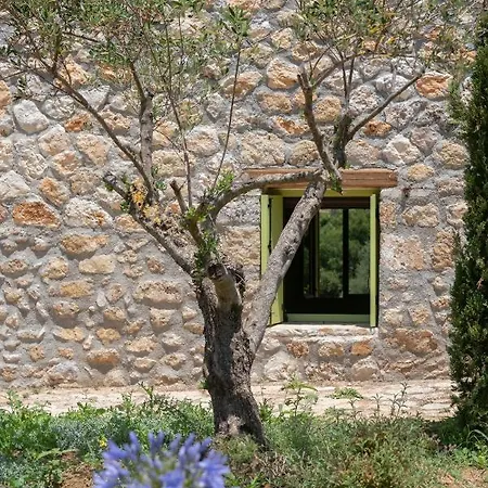 Vinovassilema Stone Dom wakacyjny Atsoupades