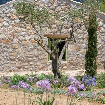 Vinovassilema Stone Atsoupades